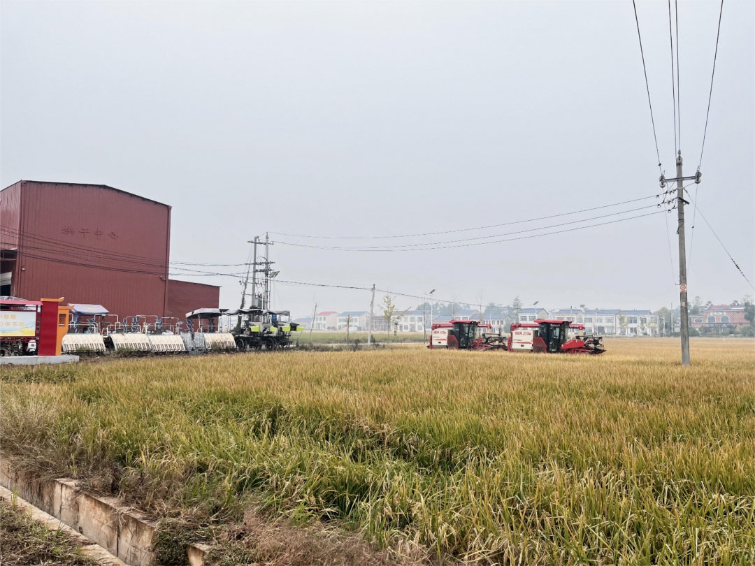 20241029119555.jpg 9c41605a80e8624fbe1625c50893f48.jpg